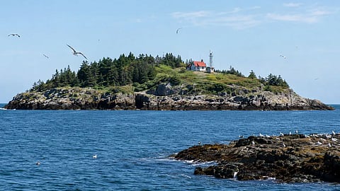 Kent Island  