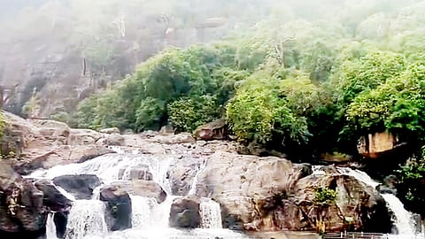 கனமழை- மணிமுத்தாறு அருவியில் குளிக்க தடை