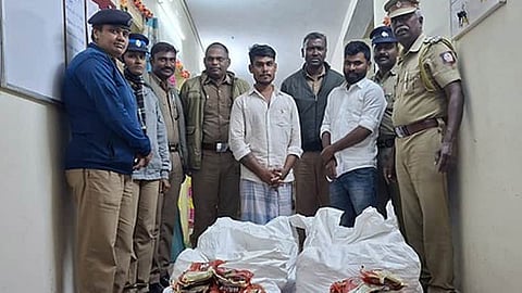 கோவையில் 140 கிலோ புகையிலை பொருட்கள் பறிமுதல்