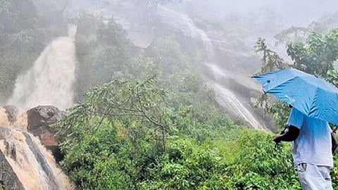 தொடர் மழை: மலைப்பகுதிகளில் உருவான புதிய நீர்வீழ்ச்சிகள்- சுற்றுலா பயணிகள் வியப்பு 