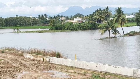 200 ஏக்கர் நெற்பயிரில் தேங்கிய மழை நீரை வெளியேற்ற வேண்டும்- விவசாயிகள் கோரிக்கை