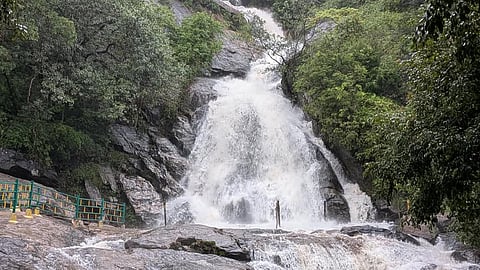 கவியருவியில் குளிக்க 3-வது நாளாக தடை- சுற்றுலா பயணிகள் ஏமாற்றம்