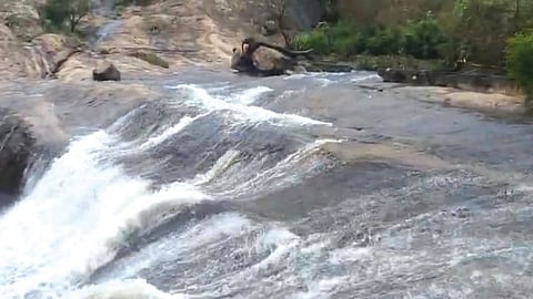 தொடர் மழையால் காட்டாற்று வெள்ளம்