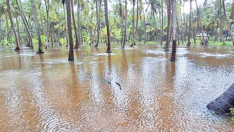 குமரி மாவட்டத்தில் மழைக்கு 40 வீடுகள் இடிந்து சேதம் 
