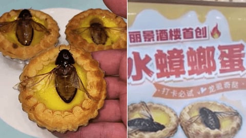 Chinese Restaurant's Cockroach Dish  