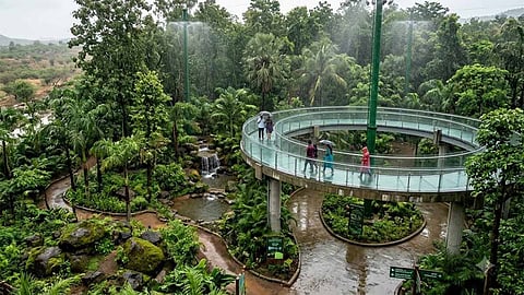 குஜராத்தில் ரூ.12 கோடியில் பிரம்மாண்ட செயற்கை மழைக்காடு - சுற்றுலாத்துறையில் புதிய மைல்கல் 