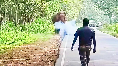 கரும்பு லாரியை வழிமறிக்க வந்த ஒற்றை யானை