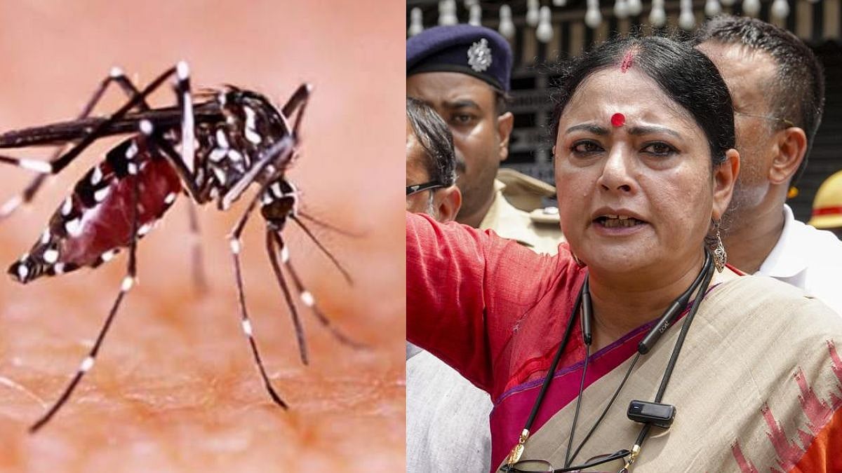 ஆட்சி மாறியதால் கடிக்காதே என கொசுக்களிடம் சொல்ல முடியாது.. டெங்கு பரவல் குறித்து மேற்கு வங்க அமைச்சர் கருத்து