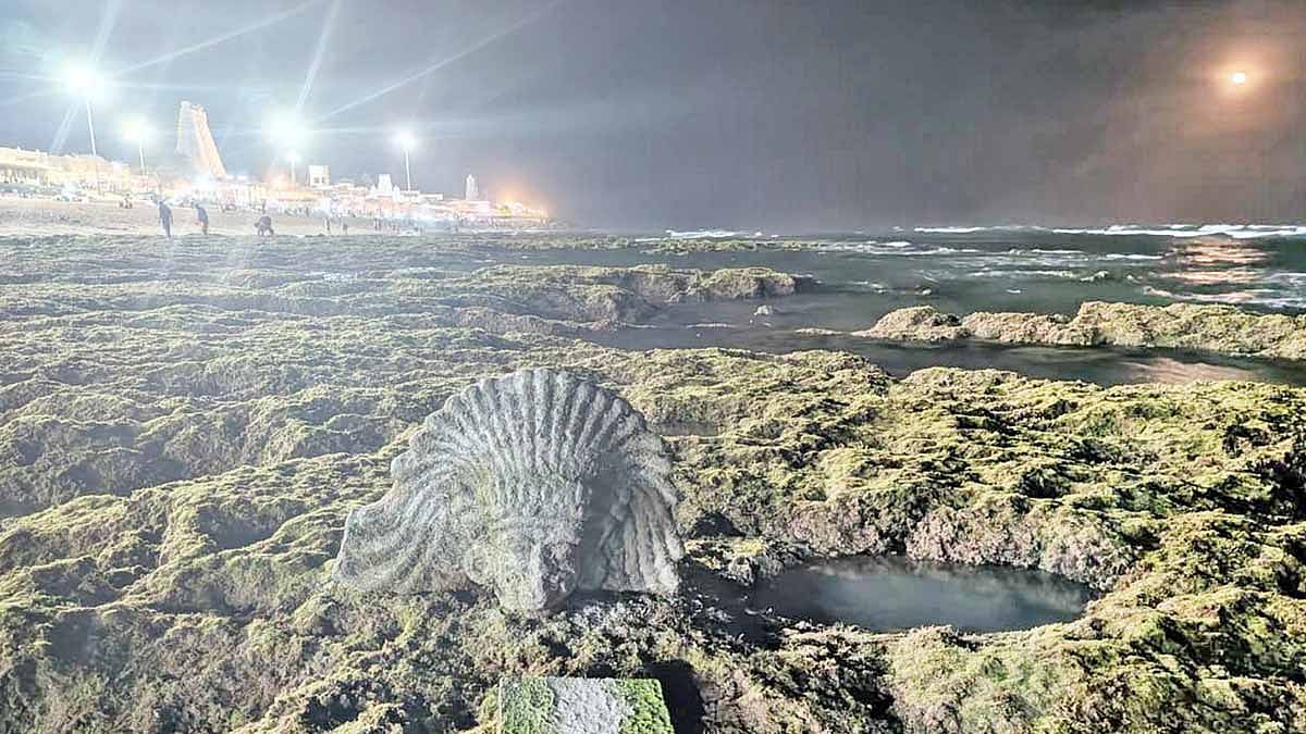 திருச்செந்தூரில் திடீரென 150 அடிக்கு உள்வாங்கிய கடல்