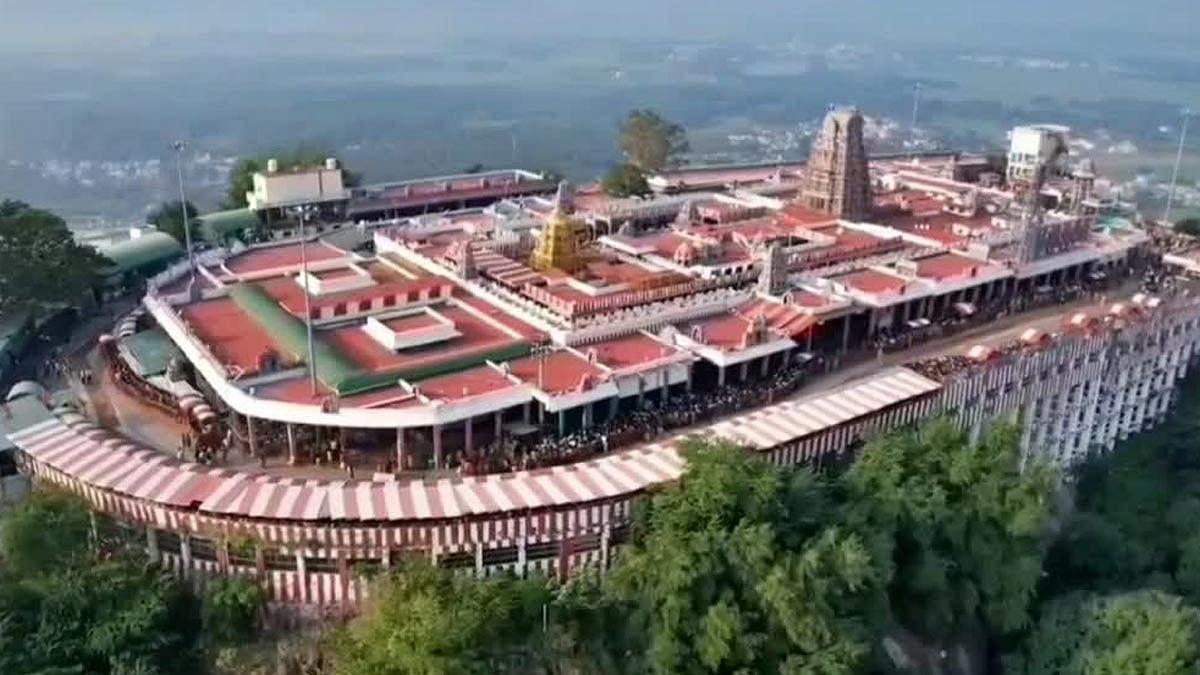 பழனியில் ரூ.100 கோடி நில மோசடி வழக்கு: குற்றப்பத்திரிகை தாக்கல் செய்யும் பணியில் சி.பி.சி.ஐ.டி. தீவிரம்
