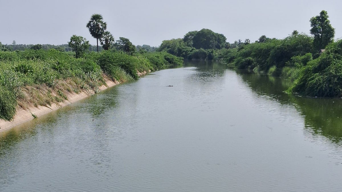 வீராணம் ஏரியின் நீர்மட்டம் 43.05 அடியாக உயர்வு