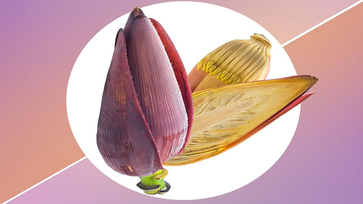 இயற்கை அளித்த இன்சுலின் வாழைப்பூ: சர்க்கரை நோய் முதல் மகளிர் ஆரோக்கியம் வரை- ஓர் பார்வை