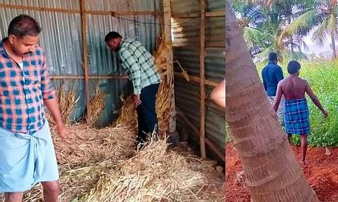 அவினாசி  சேவூர் பகுதியில் மதுவிலக்கு போலீசார் மாற்று உடையில்  அதிரடி சோதனையில் ஈடுபட்ட காட்சி.