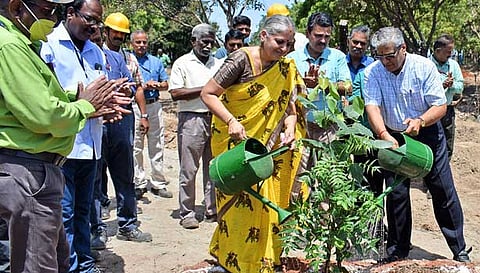 டி.சி.டபிள்யூ. சீனிவாசன், அவரது துணைவி நந்தினி ஆகியோர் மரக்கன்றுகள் நடும் நிகழ்ச்சியை தொடங்கி வைத்தகாட்சி