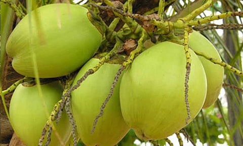 கோப்புபடம்.&nbsp;