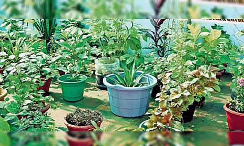 &nbsp;கோப்புபடம்