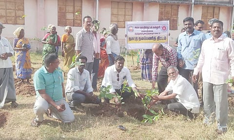 விழாவில் ராய் டிரஸ்ட் நிறுவனர் துரை ராயப்பன்,பாலிடெக்னிக் முதல்வர்,சென்னை ரவிச்சந்திரன் ஆகியோர் மரக்கன்று நட்டனர்.
