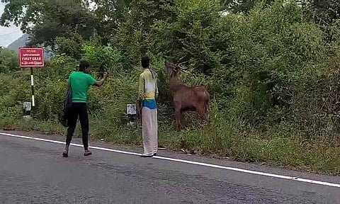 சாலையோரம் வரும் மான், யானைகளை போட்டோ எடுத்தால் வழக்குப்பதிவு