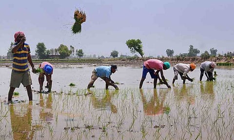 காேப்புபடம்