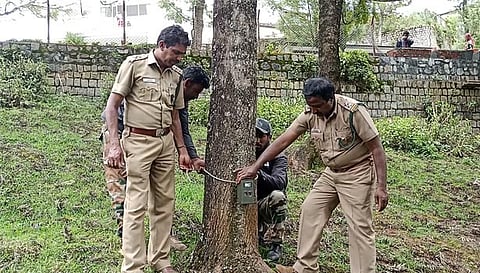 ஊட்டி மார்லி மந்து அணை  பகுதியில் புலியின் நடமாட்டத்தை கண்காணிக்க கண்காணிப்பு காமிராக்கள்
