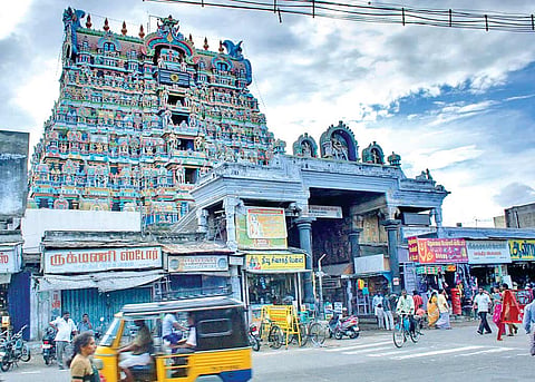 நெல்லையப்பர் கோவில் தேரோட்டம்-நெல்லை மாவட்டத்திற்கு  11-ந்தேதி உள்ளூர் விடுமுறை
