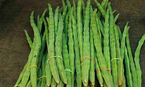 கோப்புபடம்.&nbsp;
