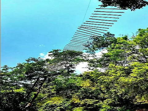 மூங்கில்பாலம்.&nbsp;
