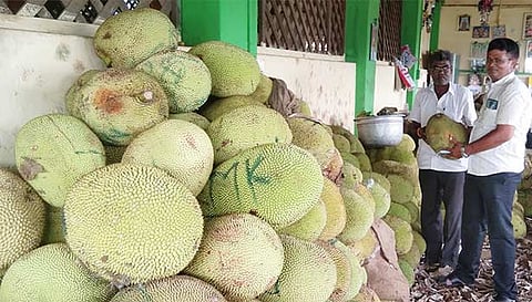பலாப்பழங்கள் விற்பனைக்காக குவித்து வைக்கப்பட்டுள்ள காட்சி.