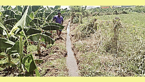 சீரமைக்கப்பட்ட கால்வாய்.
