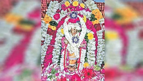 குருபூஜையை முன்னிட்டு மாணிக்கவாசகர் சிறப்பு அலங்காரத்தில் இருந்தபோது எடுத்த படம்.