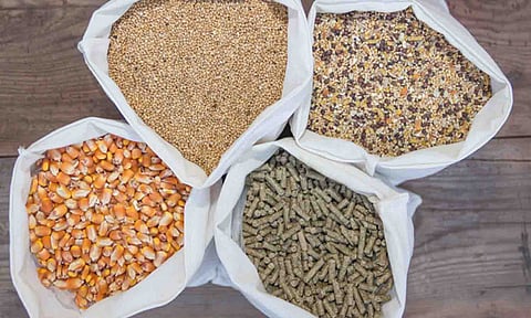 கோப்புபடம்.