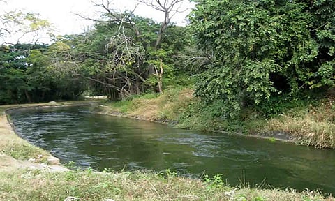 கோப்புபடம்.