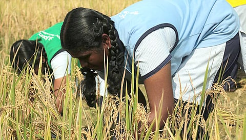 நன்னிலம் பகுதியில் விவசாய கல்லூரி அமைக்கப்படுமா?