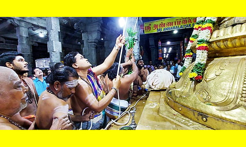 அருணாசலேஸ்வரர் கோவிலில் ஆனி பிரமோற்சவ விழா கொடியேற்றம் நடைபெற்ற போது எடுத்த படம்.