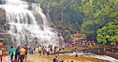 மேகமலை அருவியில் நீராடிய சுற்றுலா பயணிகள்.