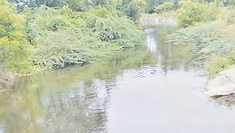 குமாரபாளையம், பள்ளிப்பாளையம் பகுதிக்கு வந்தடைந்த மேட்டூர் அணை தண்ணீர்.
