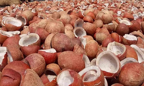 கோப்புபடம்.&nbsp;