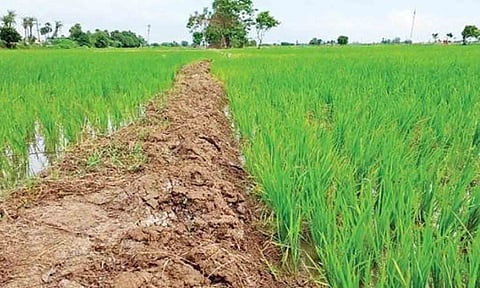 கோப்புபடம்.&nbsp;