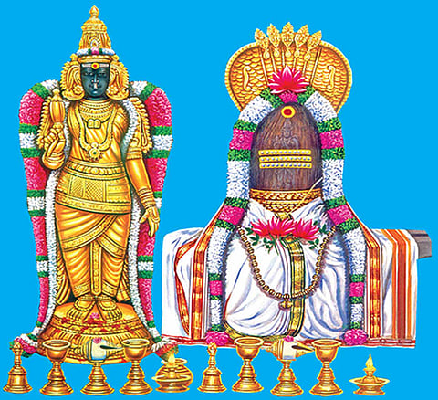 நெல்லையப்பர் கோவிலில் நாளை ஆடிப்பூர திருவிழா கொடியேற்றம்