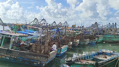 ராமேசுவரம் மீனவர்கள் இன்று வேலைநிறுத்தம்: 800-க்கும் மேற்பட்ட விசைப்படகுகள் கரையில் நிறுத்திவைப்பு