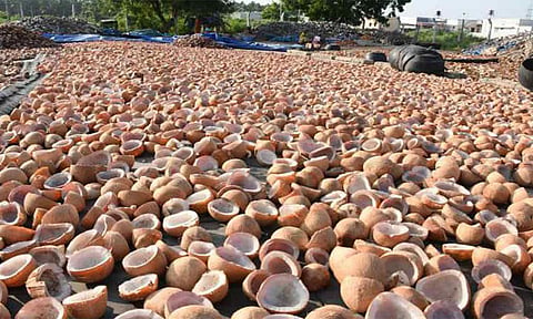 ரூ.11 லட்சத்து 37 ஆயிரத்துக்கு தேங்காய் பருப்பு ஏலம்