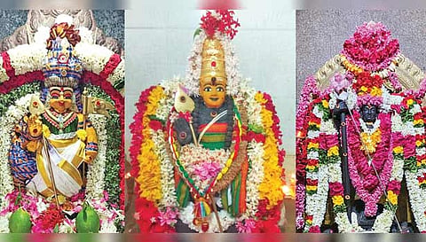 பேட்டை பகவதி அம்மன் கோவிலில் உள்ள முருகன், கோப்பணம்பாளையம் பரமேஸ்வரர் கோவிலில் உள்ள பாலமுருகன், விஜயகிரி வடபழனி ஆண்டவர் சிறப்பு அலங்காரத்தில் அருள்பாலித்த காட்சி.
