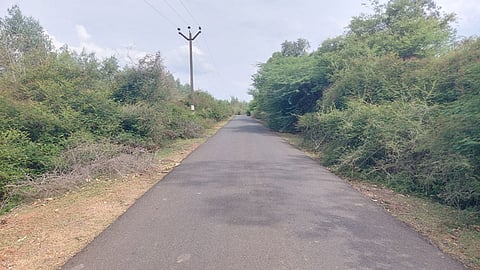 &nbsp;சிறுநாகலூர் செல்லும் சாலையில்&nbsp; முட்புதர்கள் மண்டி இருப்பதை படத்தில் காணலாம்.