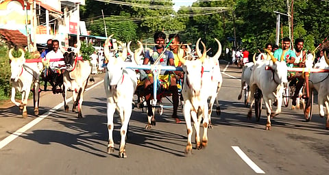 போட்டியில் பங்கேற்ற மாட்டுவண்டிகள் சீறிப்பாய்ந்து சென்ற காட்சி.
