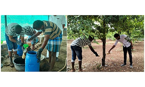 தயாரிக்கப்பட்ட பறவைக் கரைசல் மற்றும் கரைசலை மரங்களுக்கு ஊற்றிய காட்சி.&nbsp;