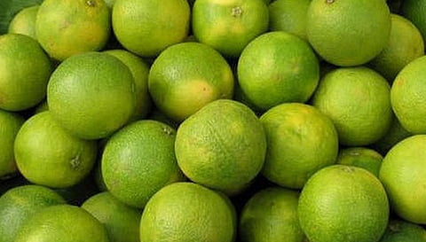 சேலத்தில் வரத்து அதிகரிப்பால் சாத்துக்குடி கிலோ ரூ.50 ஆக சரிந்தது