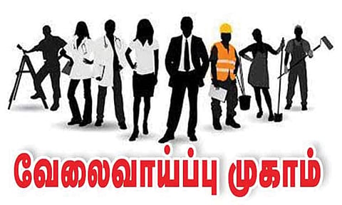 தனியார்துறை வேலை வாய்ப்பு முகாம்