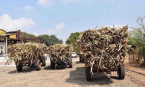 கோப்புபடம்.