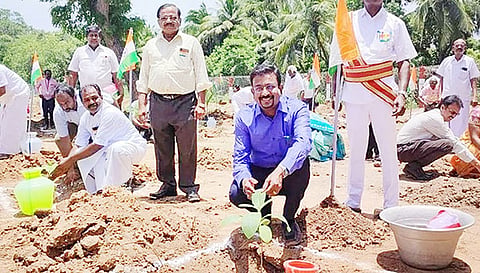 கீழ்கோவில்பத்து ஊராட்சியில் மரக்கன்றுகள் நடும் நிகழ்ச்சியை கலெக்டர் தினேஷ் பொன்ராஜ் ஆலிவர் தொடங்கி வைத்தார்.