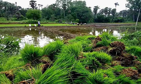 கோப்புபடம்.